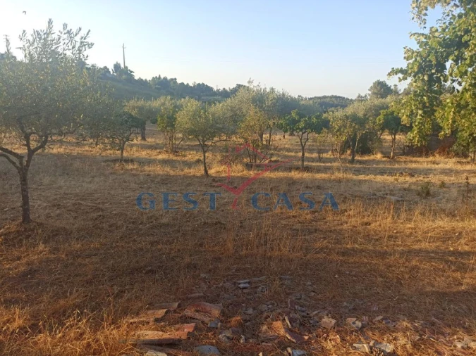 Terreno para Venda em Cebolais de Cima e Retaxo Foto 9