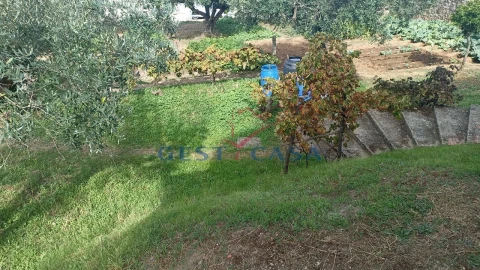 Moradia T4 para Venda em Castelo Branco