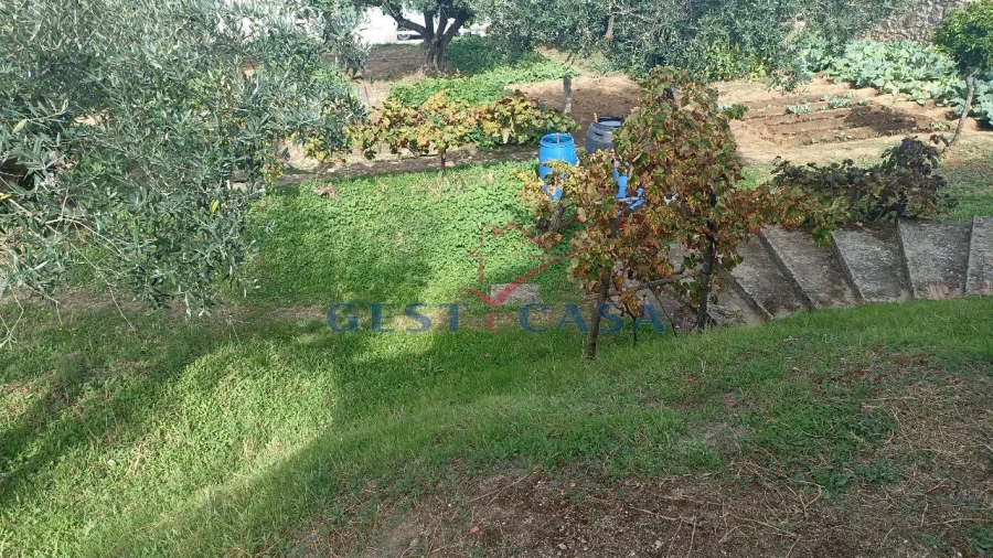 Moradia T4 para Venda em Castelo Branco Foto 16