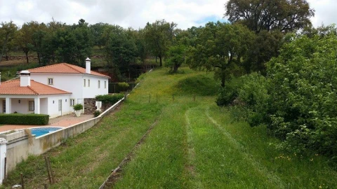Terreno Agricola ou Rústico para Venda em Santa Maria da Devesa