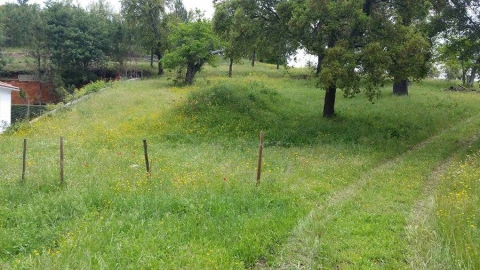 Terreno Agricola ou Rústico para Venda em Santa Maria da Devesa