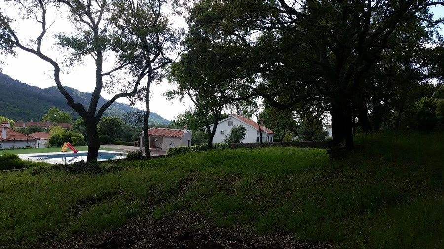 Terreno Agricola ou Rústico para Venda em Santa Maria da Devesa Foto 4