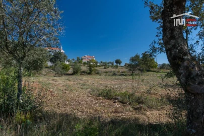 Terreno para Venda em Fatima