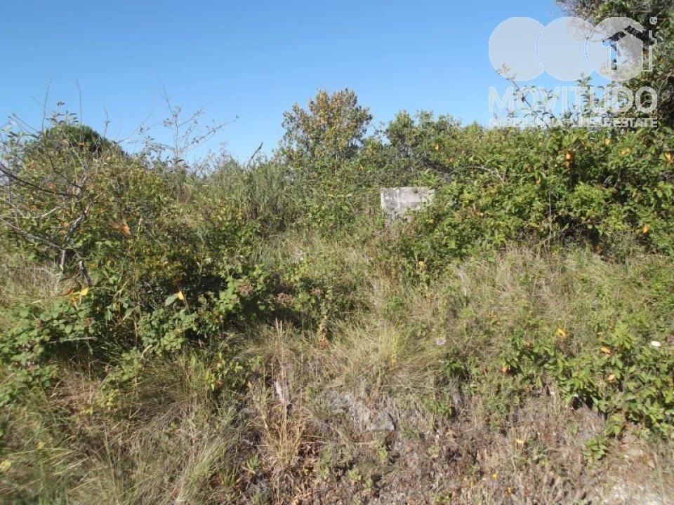 Terreno Agricola ou Rústico para Venda em Carnota Foto 7