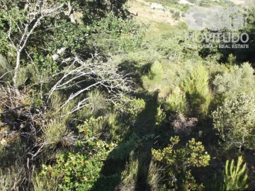 Terreno Agricola ou Rústico para Venda em Carnota