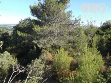 Terreno Agricola ou Rústico para Venda em Carnota