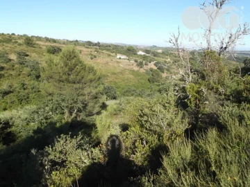 Terreno Agricola ou Rústico para Venda em Carnota