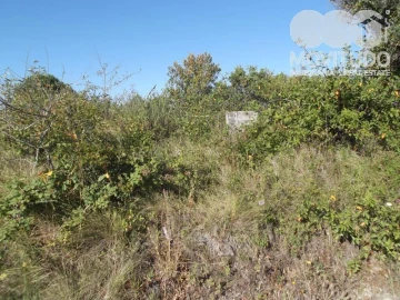 Terreno Agricola ou Rústico para Venda em Carnota