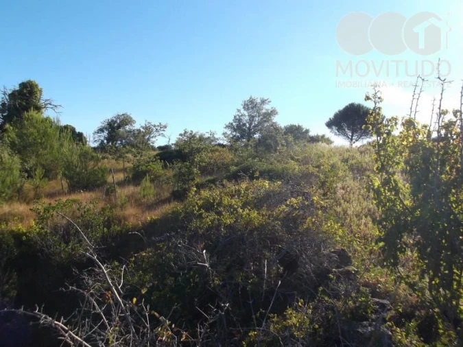 Terreno Agricola ou Rústico para Venda em Carnota Foto 4