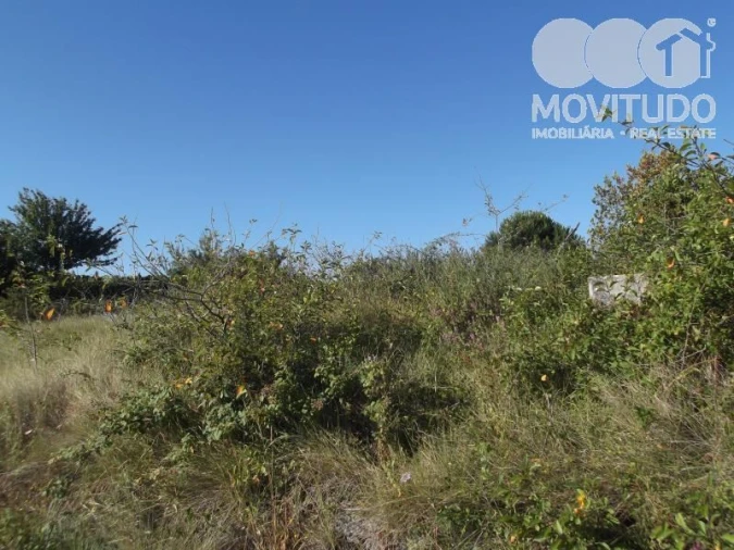 Terreno Agricola ou Rústico para Venda em Carnota Foto 8