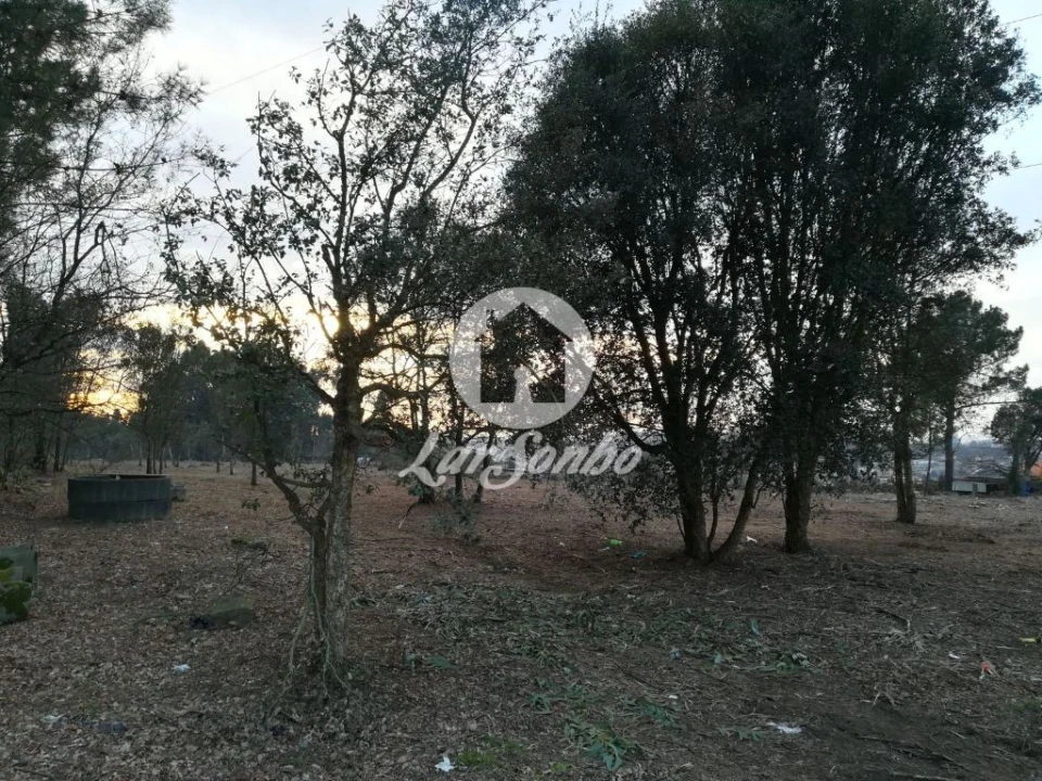 Terreno Agricola ou Rústico para Venda em Vila das Aves Foto 5