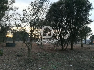 Terreno Agricola ou Rústico para Venda em Vila das Aves