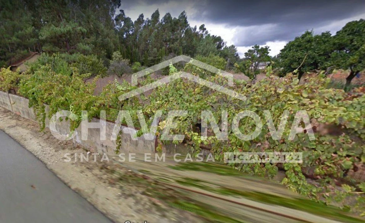 Terreno Agricola ou Rústico para Venda em Oliveira do Bairro Foto 1