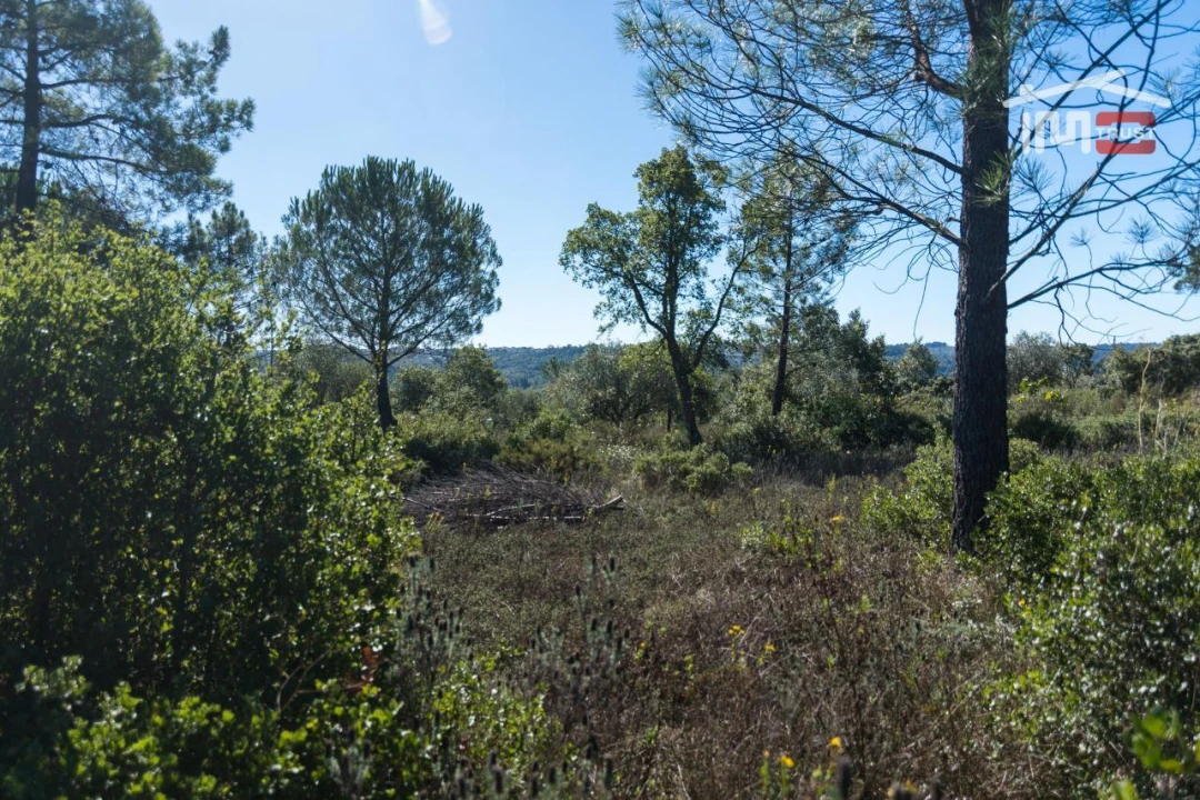 Terreno P/ Prédio para Venda em Seiça Foto 6