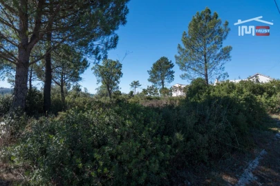 Terreno P/ Prédio para Venda em Seiça