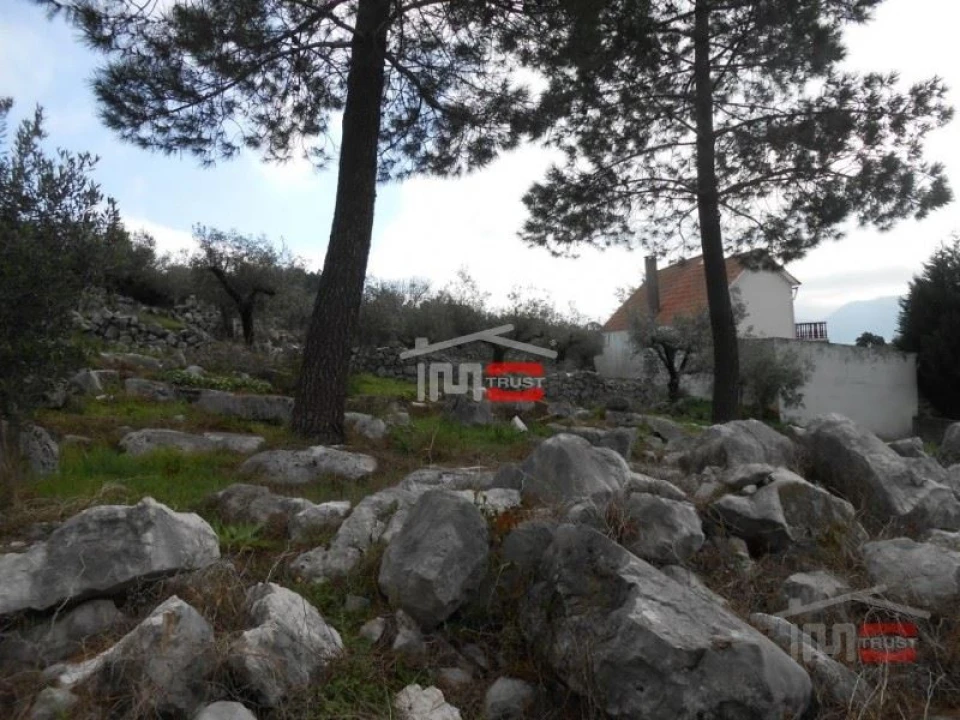 Terreno Misto para Venda em Mira de Aire Foto 7