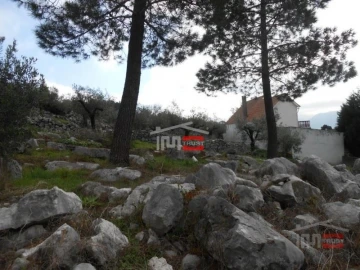 Terreno Misto para Venda em Mira de Aire