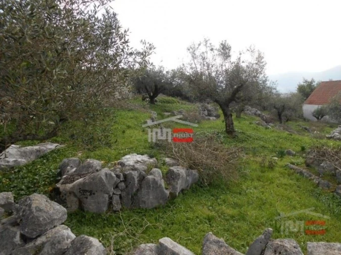 Terreno Misto para Venda em Mira de Aire