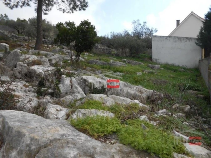 Terreno Misto para Venda em Mira de Aire Foto 4