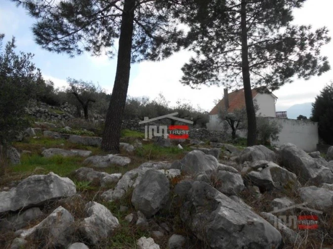 Terreno Misto para Venda em Mira de Aire Foto 7