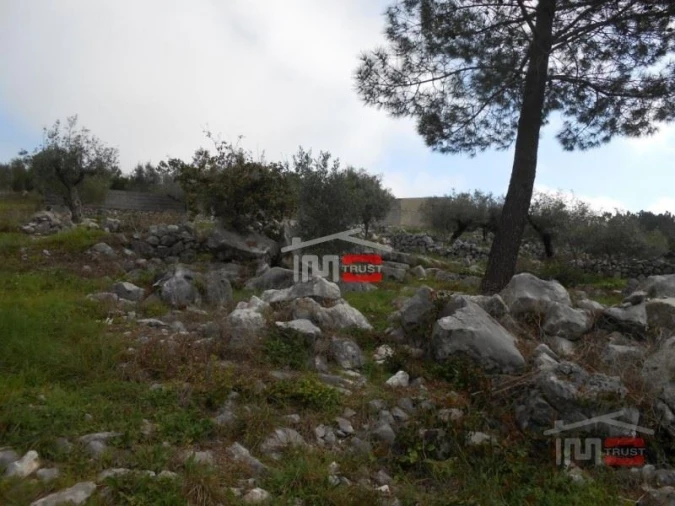 Terreno Misto para Venda em Mira de Aire Foto 8