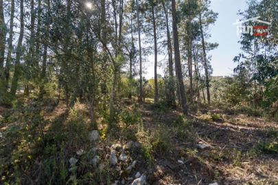 Terreno Agricola ou Rústico para Venda em Santa Catarina da Serra e Chainça