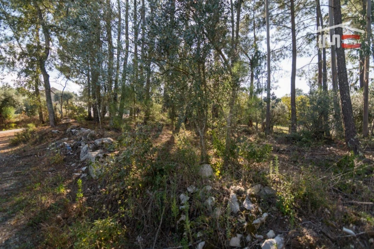 Terreno Agricola ou Rústico para Venda em Santa Catarina da Serra e Chainça Foto 3