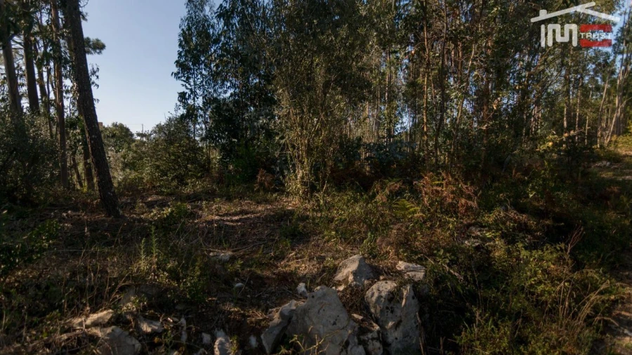 Terreno Agricola ou Rústico para Venda em Santa Catarina da Serra e Chainça
