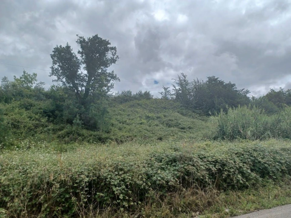 Terreno para Venda em Vacariça Foto 5