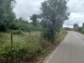 Terreno para Venda em Vacariça