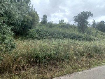 Terreno para Venda em Vacariça