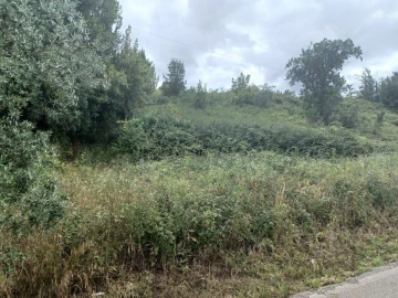 Terreno para Venda em Vacariça