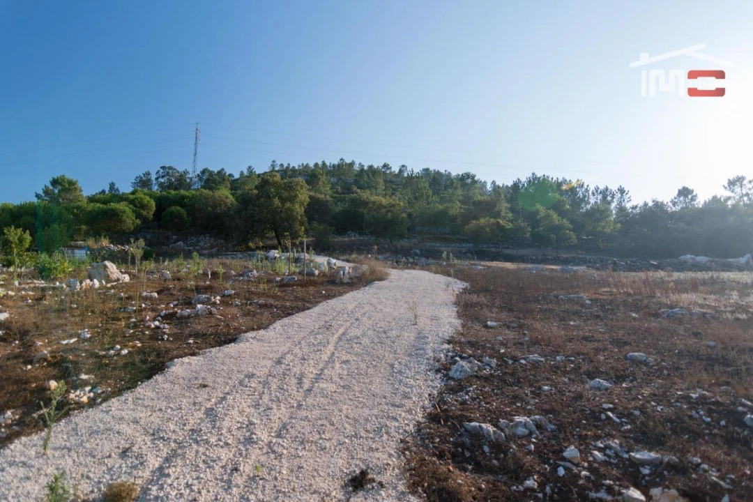 Terreno Agricola ou Rústico para Venda em Alqueidão da Serra Foto 2