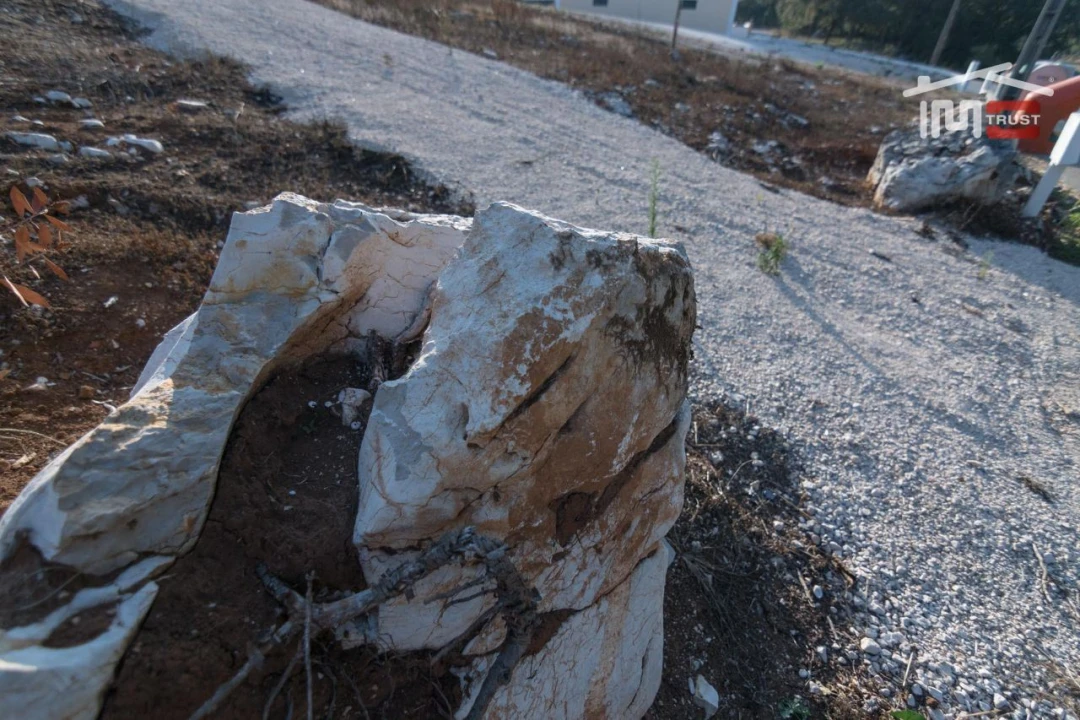 Terreno Agricola ou Rústico para Venda em Alqueidão da Serra Foto 5