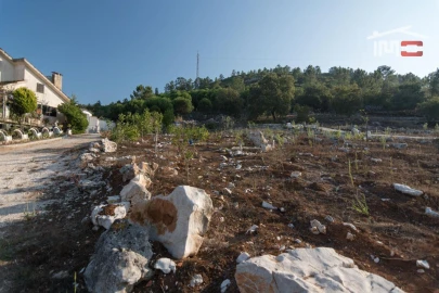Terreno Agricola ou Rústico para Venda em Alqueidão da Serra