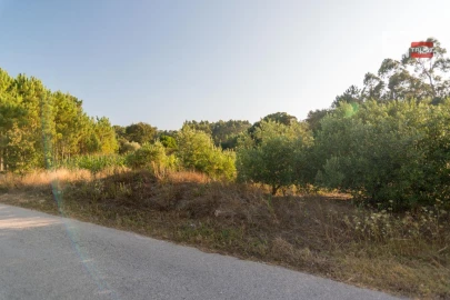 Terreno Agricola ou Rústico para Venda em Alqueidão da Serra