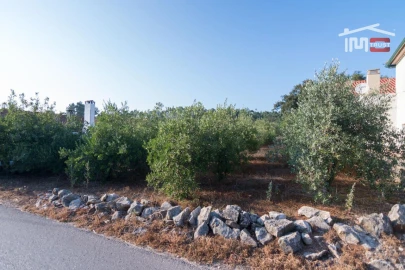 Terreno Agricola ou Rústico para Venda em Alqueidão da Serra