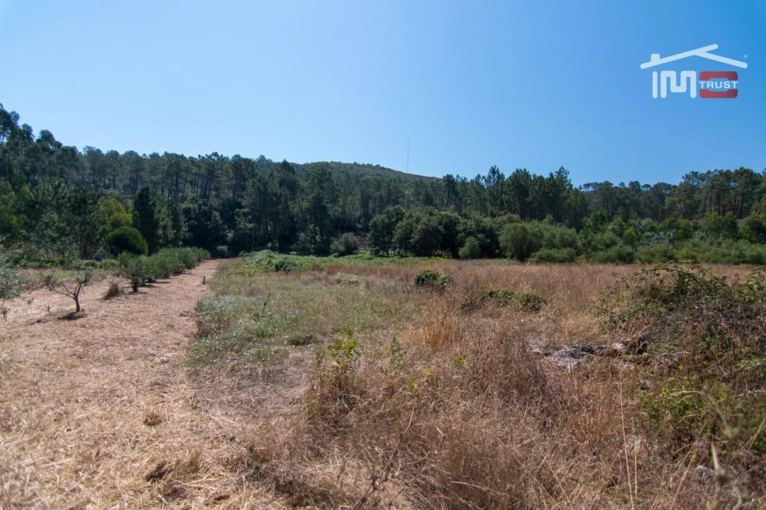 Terreno Agricola ou Rústico para Venda em São Mamede Foto 1