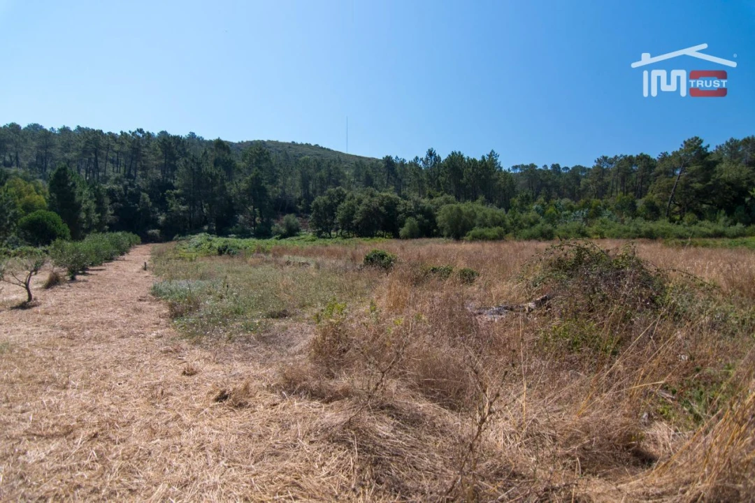 Terreno Agricola ou Rústico para Venda em São Mamede Foto 3