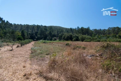 Terreno Agricola ou Rústico para Venda em São Mamede