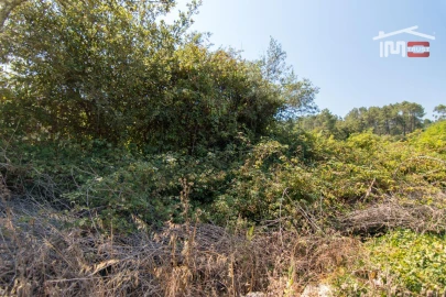 Terreno Agricola ou Rústico para Venda em São Mamede