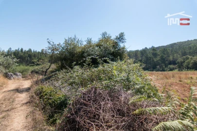 Terreno Agricola ou Rústico para Venda em São Mamede