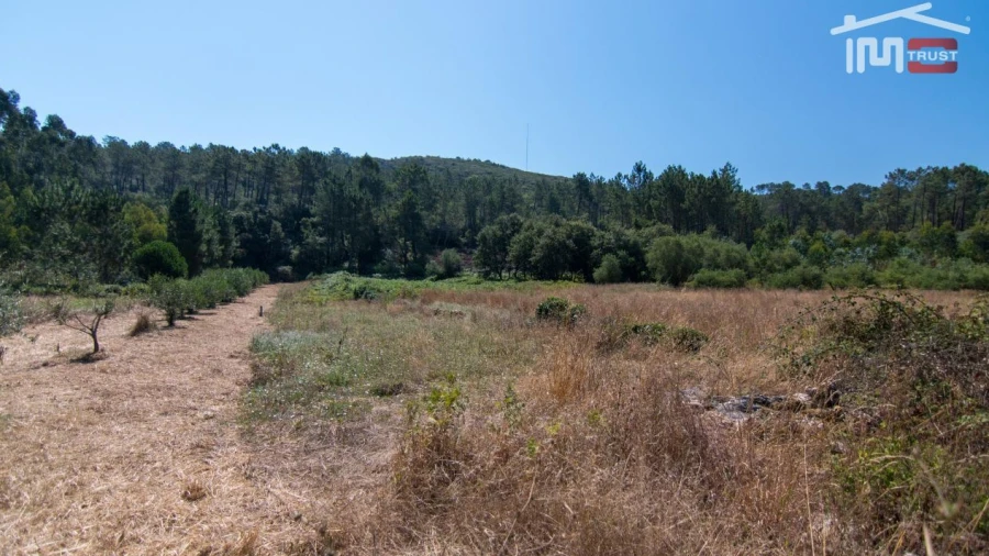 Terreno Agricola ou Rústico para Venda em São Mamede