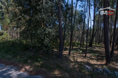 Terreno Agricola ou Rústico para Venda em Alqueidão da Serra