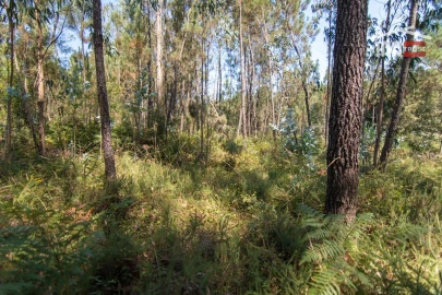 Terreno Agricola ou Rústico para Venda em Alqueidão da Serra