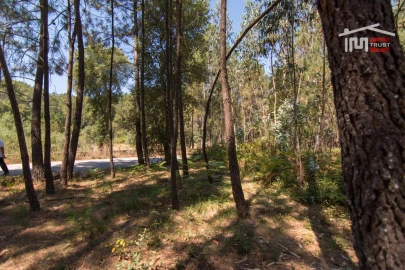 Terreno Agricola ou Rústico para Venda em Alqueidão da Serra
