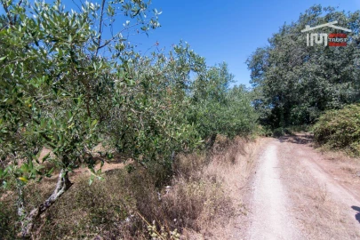 Terreno Agricola ou Rústico para Venda em Alqueidão da Serra