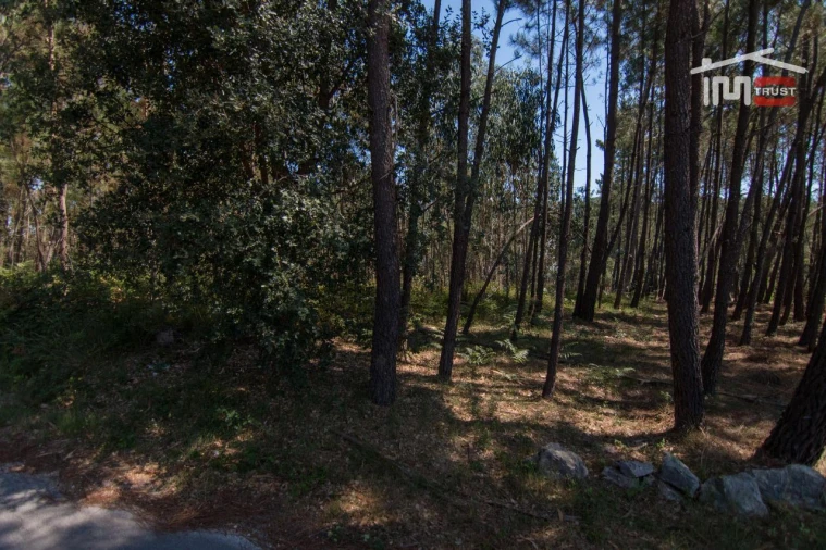 Terreno Agricola ou Rústico para Venda em Alqueidão da Serra Foto 3
