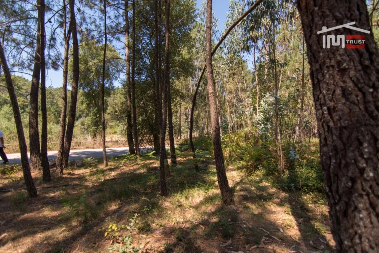 Terreno Agricola ou Rústico para Venda em Alqueidão da Serra Foto 6