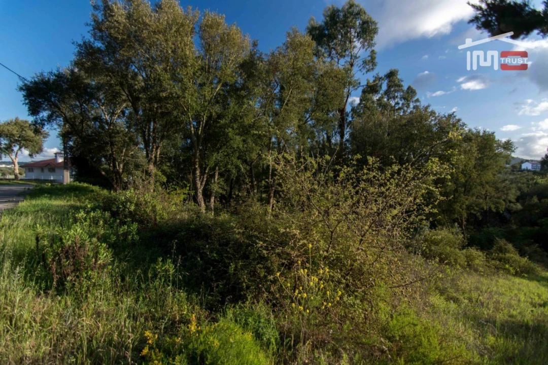 Terreno para Venda em Nossa Senhora da Piedade Foto 2